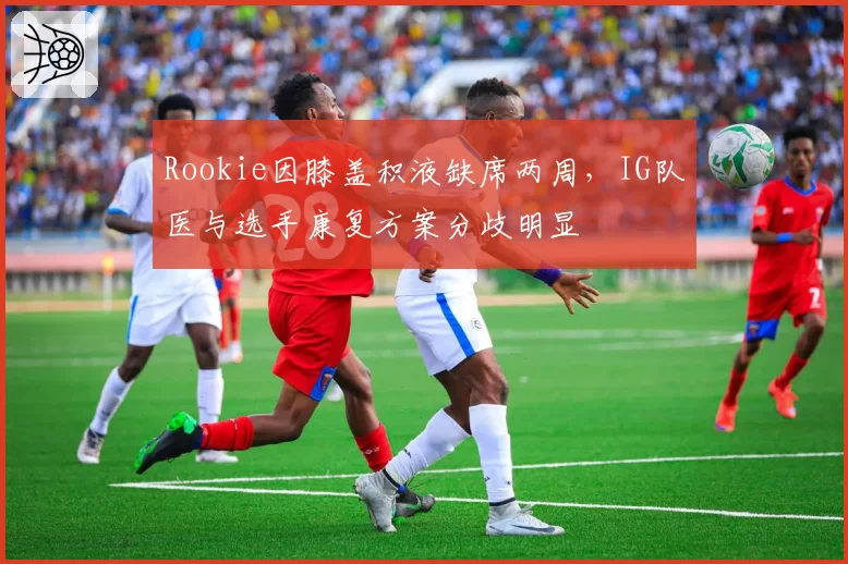 Rookie因膝盖积液缺席两周，IG队医与选手康复方案分歧明显